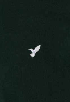 Pier One 5 Pack - T-Shirt Basic - White/Ark Green/Blue -Pier One Mannenmode 19822f95d4c243b5a7cfa8d503e23581